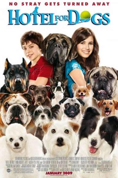 A Home for Everyone: The Making of ‘Hotel for Dogs’